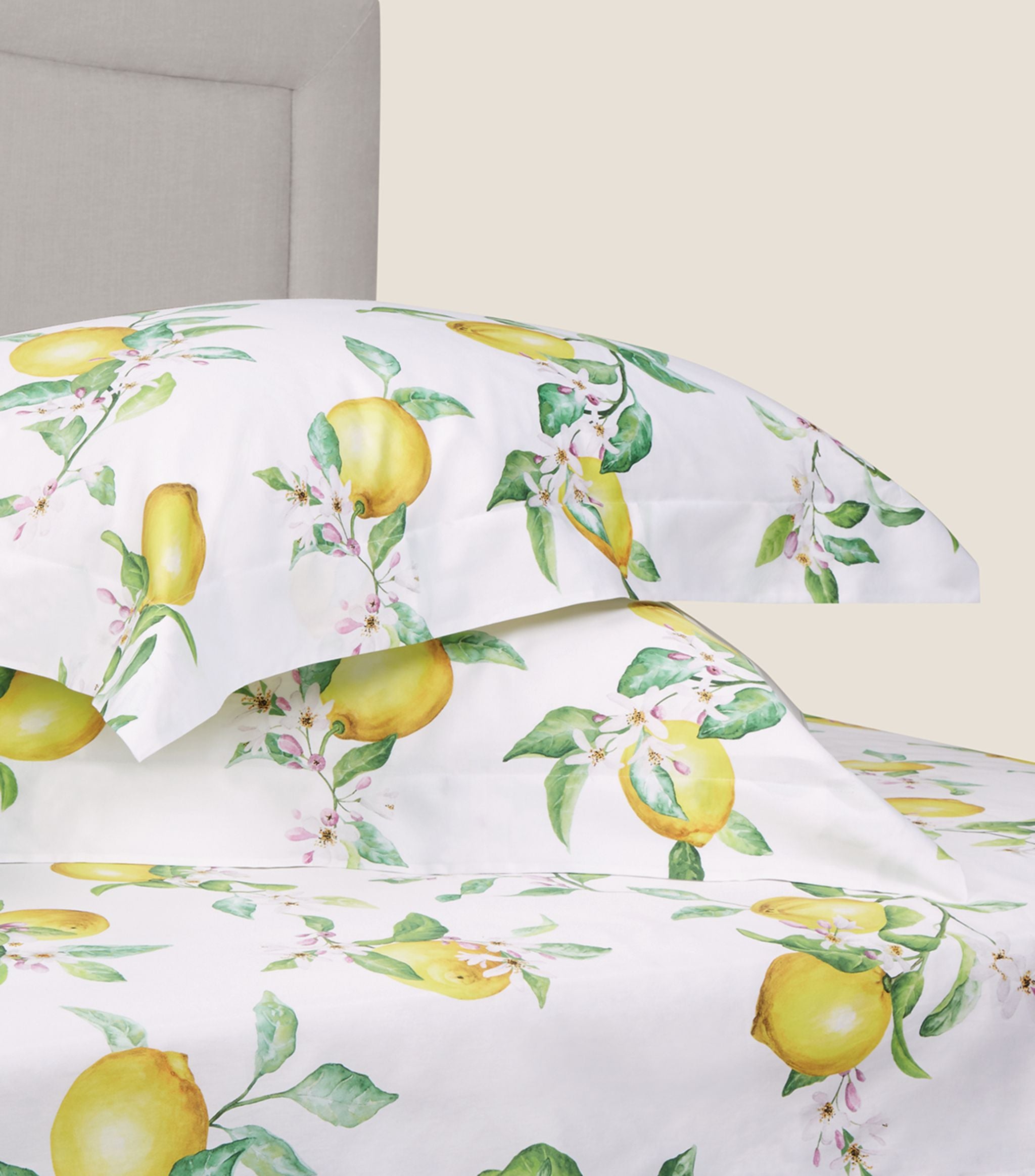 Zoe Oxford Pillowcase (50cm x 75cm) Bedroom Harrods   