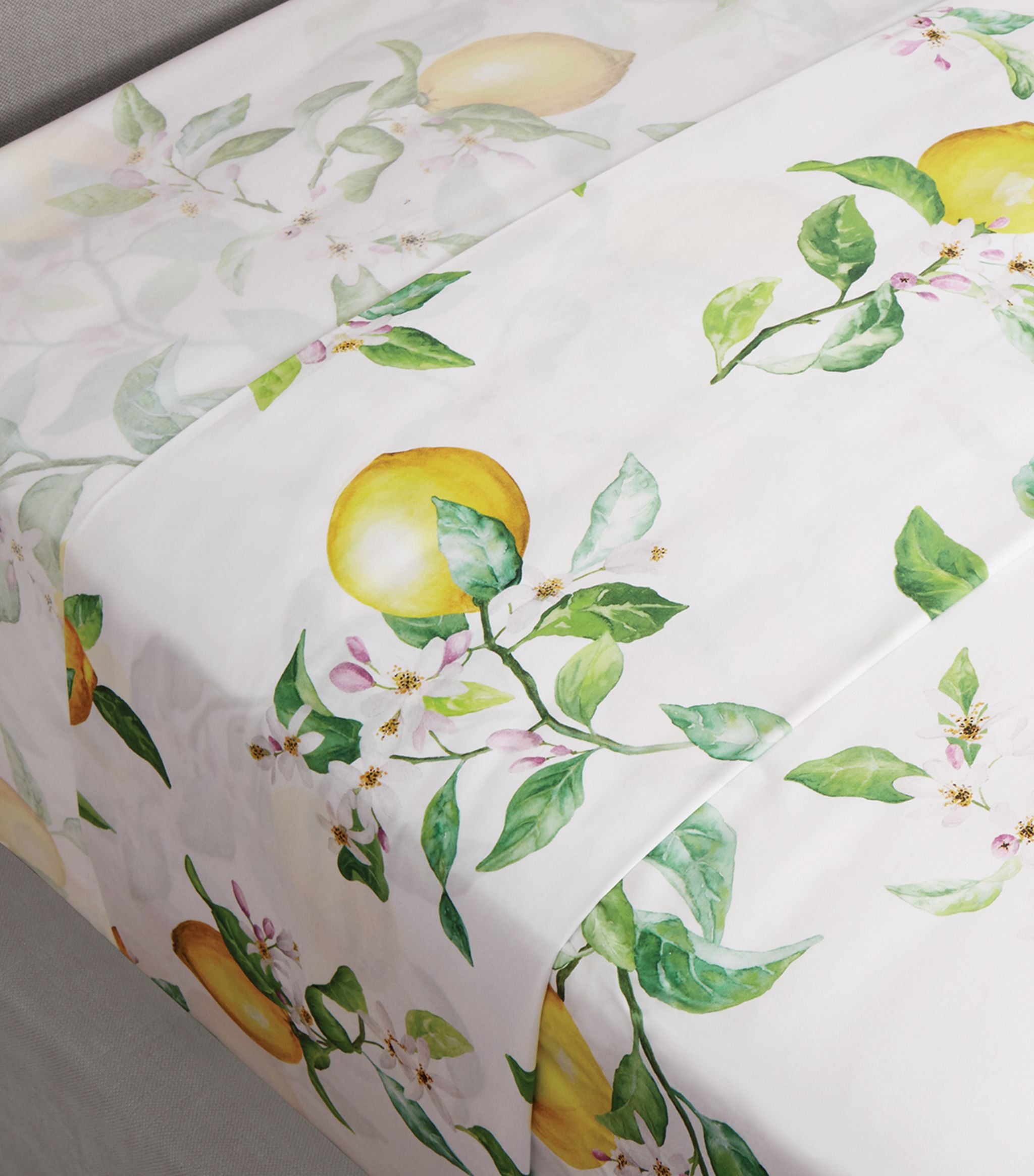 Zoe Oxford Pillowcase (50cm x 75cm) Bedroom Harrods   