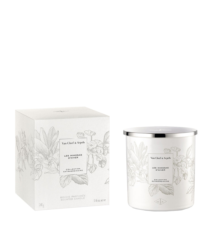 Les Mimosas d'Hiver Candle (240g)