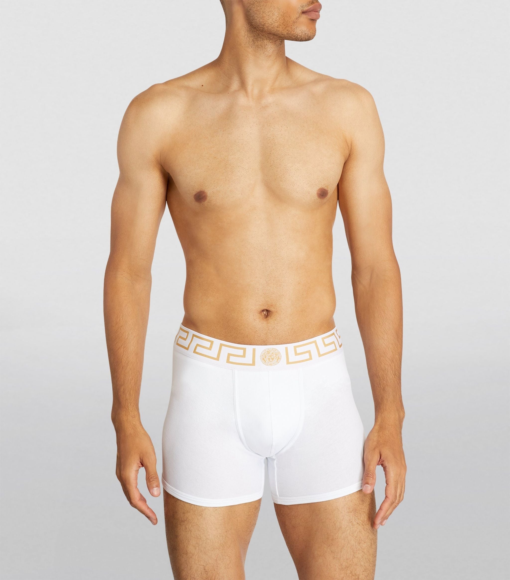 Iconic Greca Long Trunks GOODS Harrods   